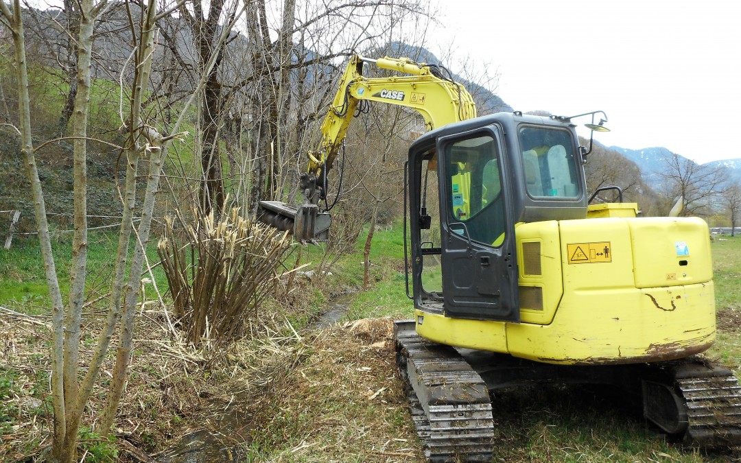 Débroussaillage de cours d’eau